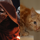 Illustration for article titled The Power of the Dark Side Is Basically Kittens